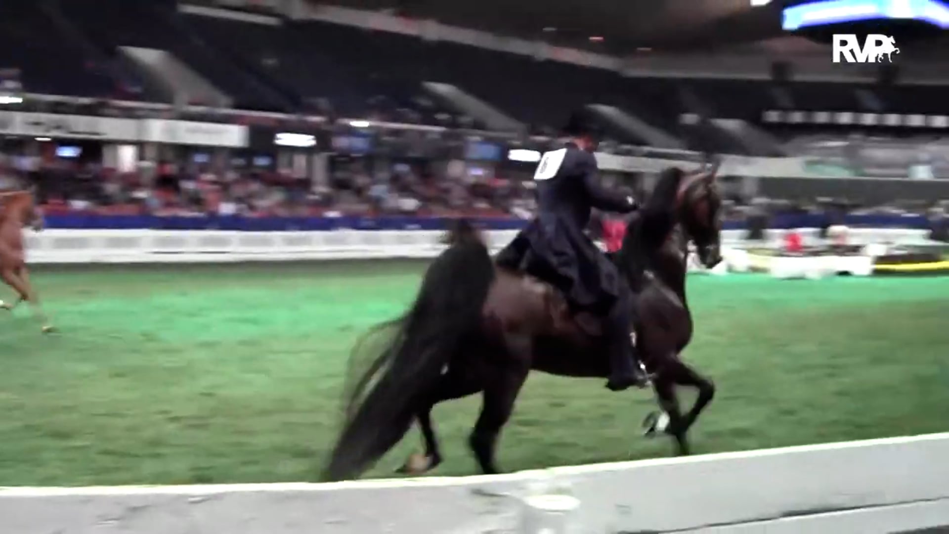WCHS19 - Class 77 - Bourbon Select and Robert Gardiner, up - ISO 
