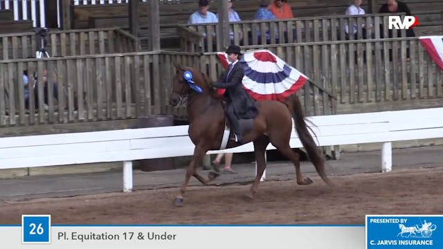 SCF16 - The Blue's Strutter