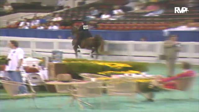 1992 WCHS Class 51 Equitation Rider 1...