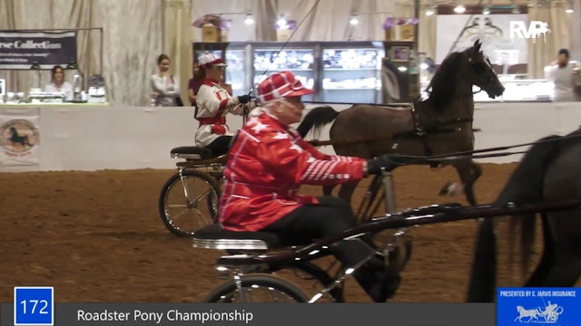 GASP21 - Class 172 - Roadster Pony Championship