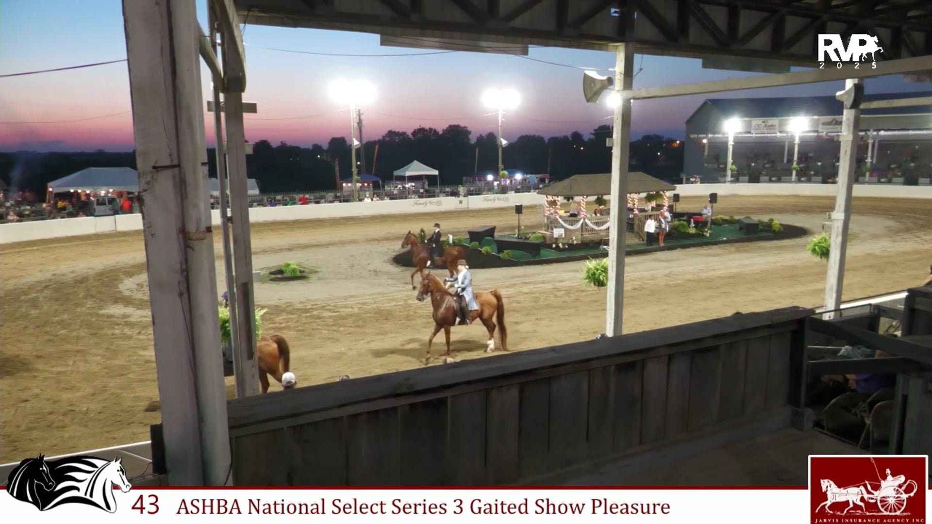 MCF25 - Class 43 - ASHBA National Select Series Three Gaited Show Pleasure