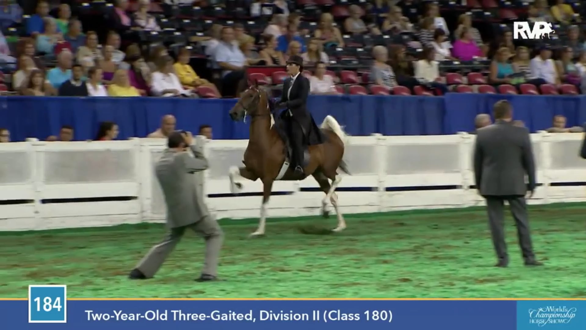 2015 WCHS - Class 184 Two Year Old Three Gaited -Division II