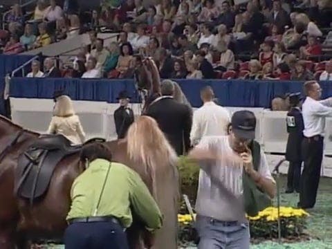 2008 WCHS Class 202 Junior Exhibitor ...