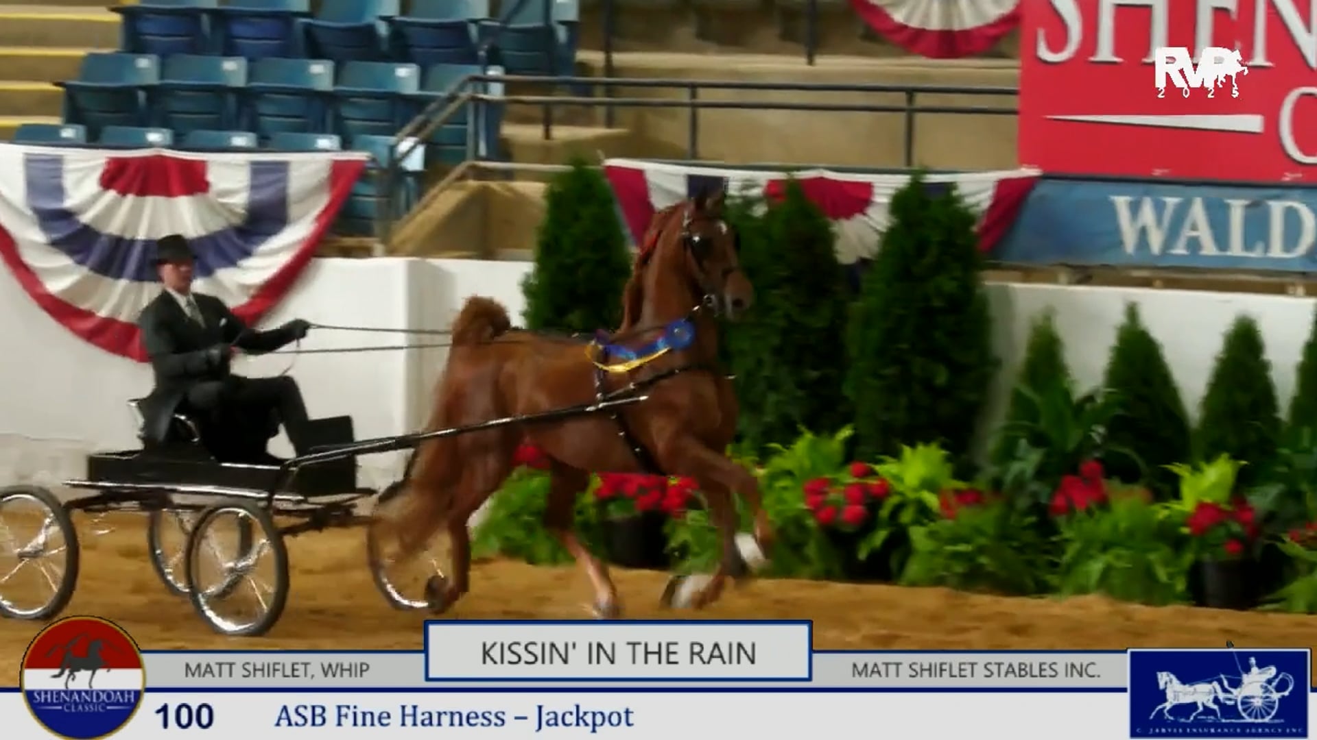 SC25 - Class 100 - Kissin' in the Rain and Matt Shiflet, Whip