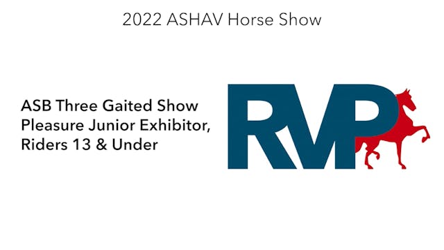 ASHAV22 - Class 63 - ASB Three Gaited...