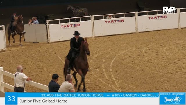 KFC23 - Class 33 - Jr. Five Gaited Horse