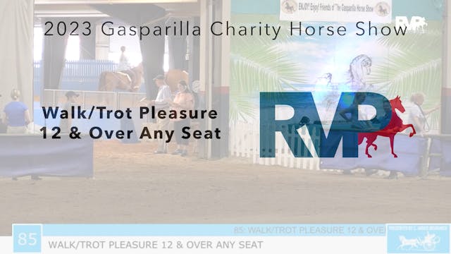 GASP23 - Class 85 - Walk-Trot Pleasur...