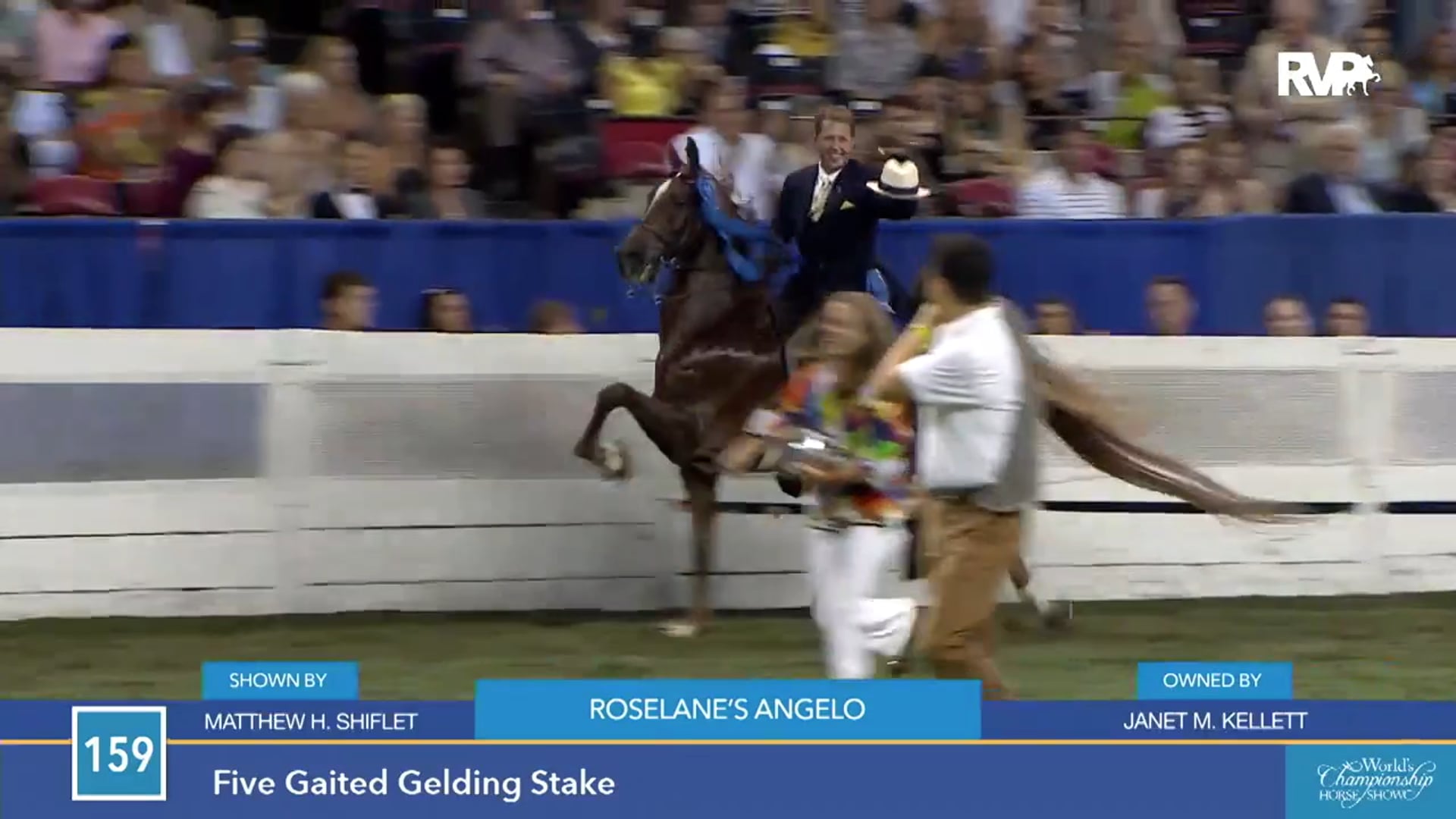 WCHS15 - Matt Shiflet on Roselane's Angelo - Extended Edition 