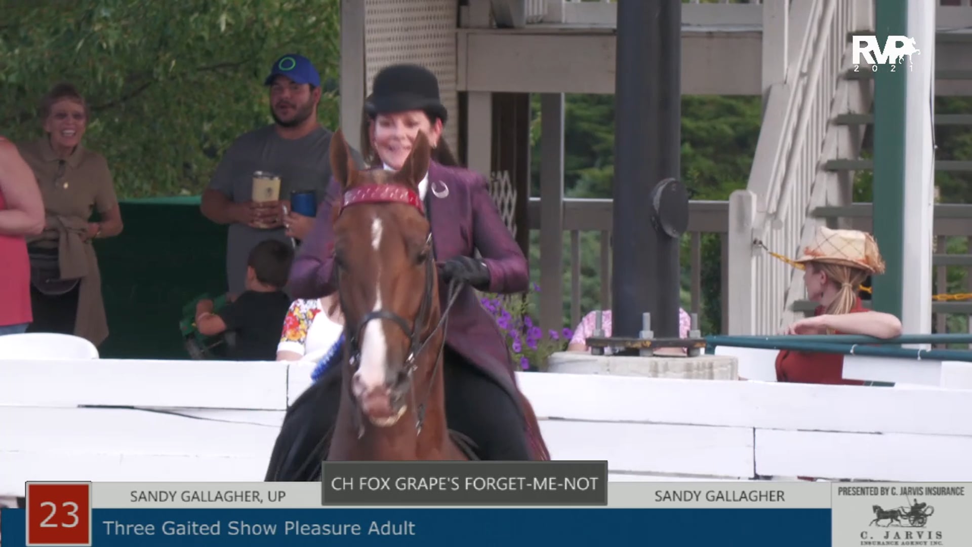 SHS21 - Class 23 - CH Fox Grape’s Forget-Me-Not and Sandy Gallagher, up