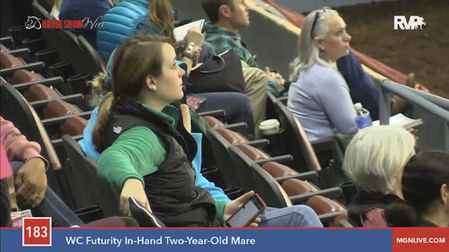 2015 MGN - Class 183 WC Futurity In-H...