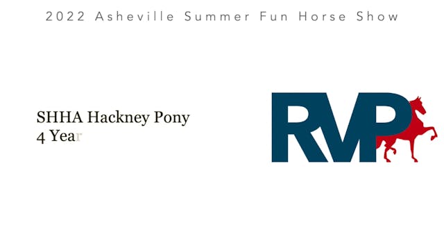 ASF22 - Class 43 - SHHA Hackney Pony ...