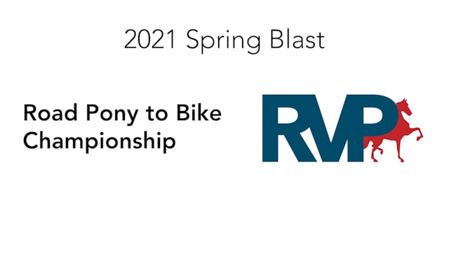 SB21 - Class 239 - Road Pony to Bike ...