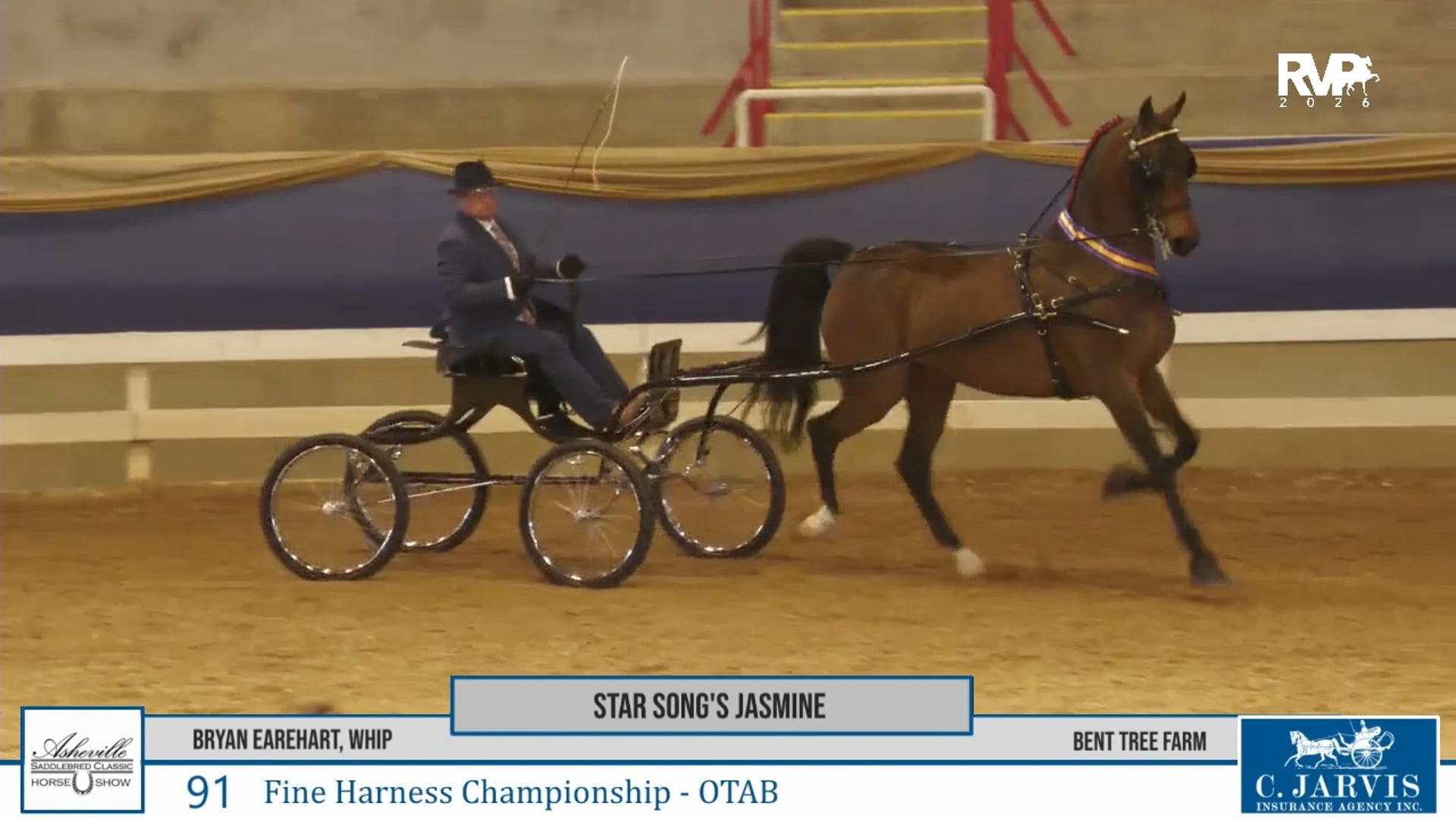 ASC26 - Class 91 - Star Song's Jasmine and Bryan Earehart, Whip