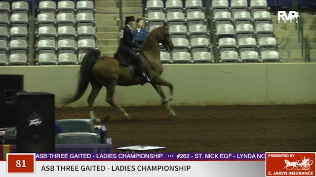 2020 SSFF - Class 81 ASB Three Gaited...