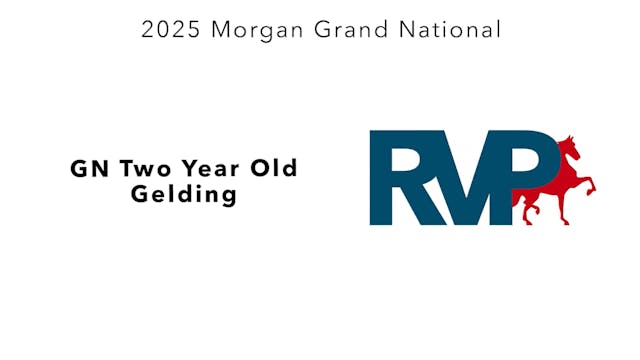 MGN25 - Class 302 - GN Two Year Old G...