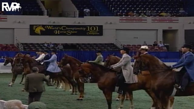 2004 World's Championship Horse Show ...