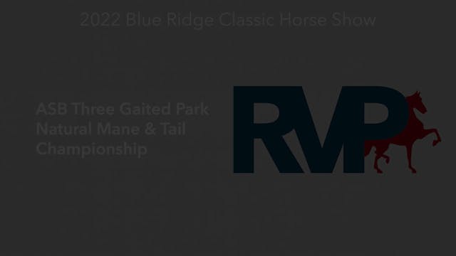 BR22 - Class 174 - ASB Three Gaited P...