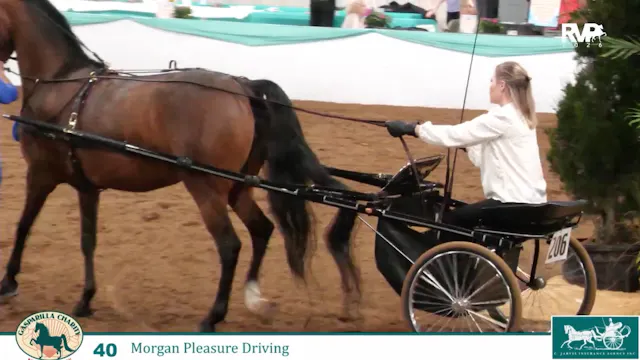 GC26 - Class 40 - Hagerbrook Legend a...