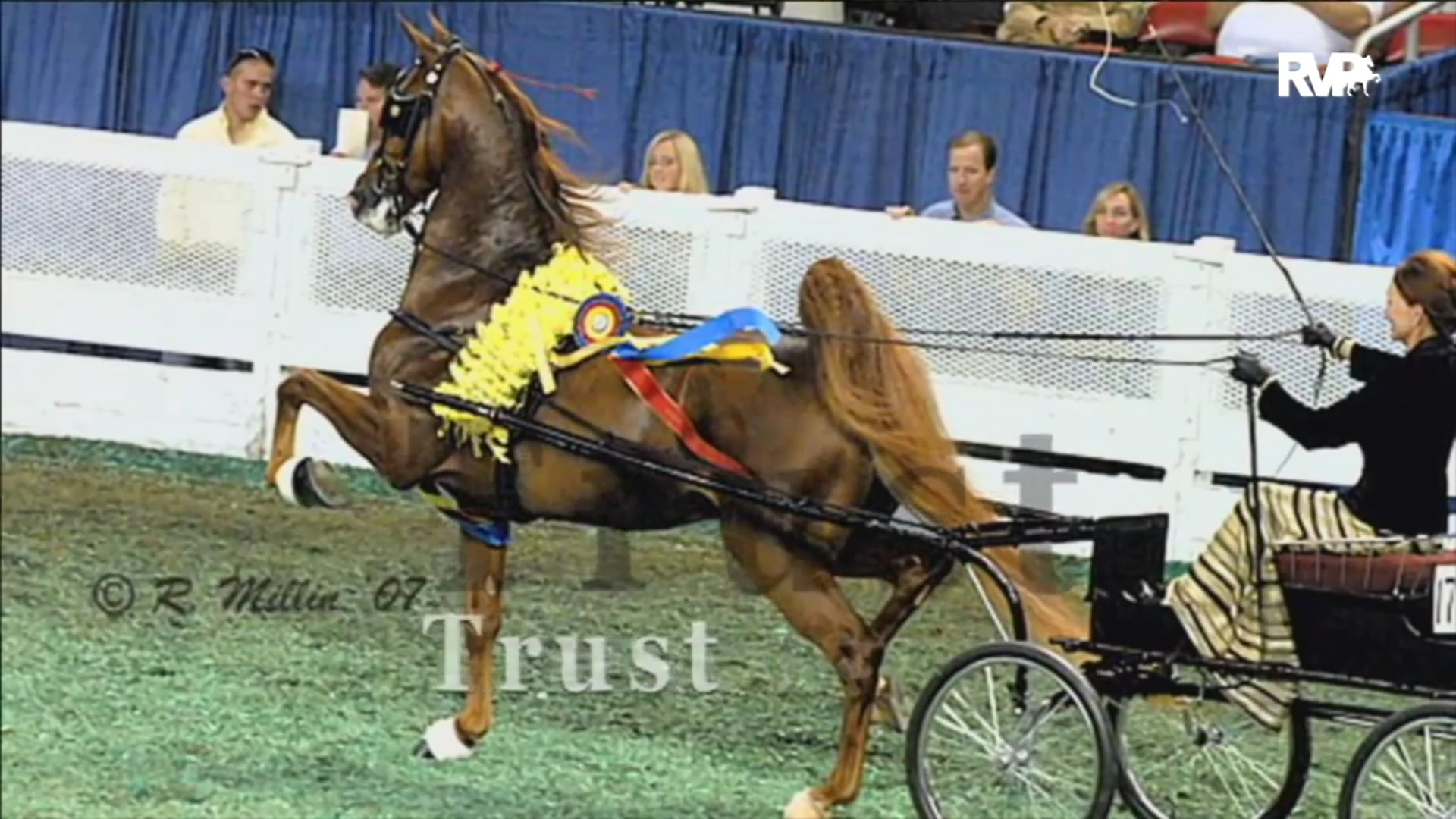 2020 World's Championship Horse Show - Friday Evening - Aug 28