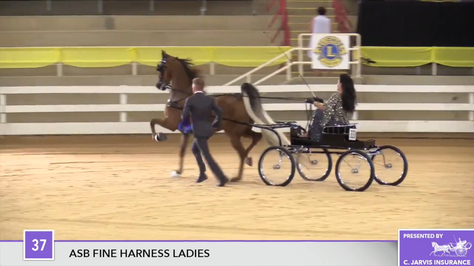 ALCB17 - Best Show In Vegas