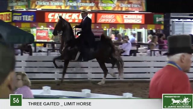 2017 RC - Class 56 Three Gaited Limit...