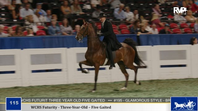 WCHS24 - Class 115 - WCHS Futurity - ...