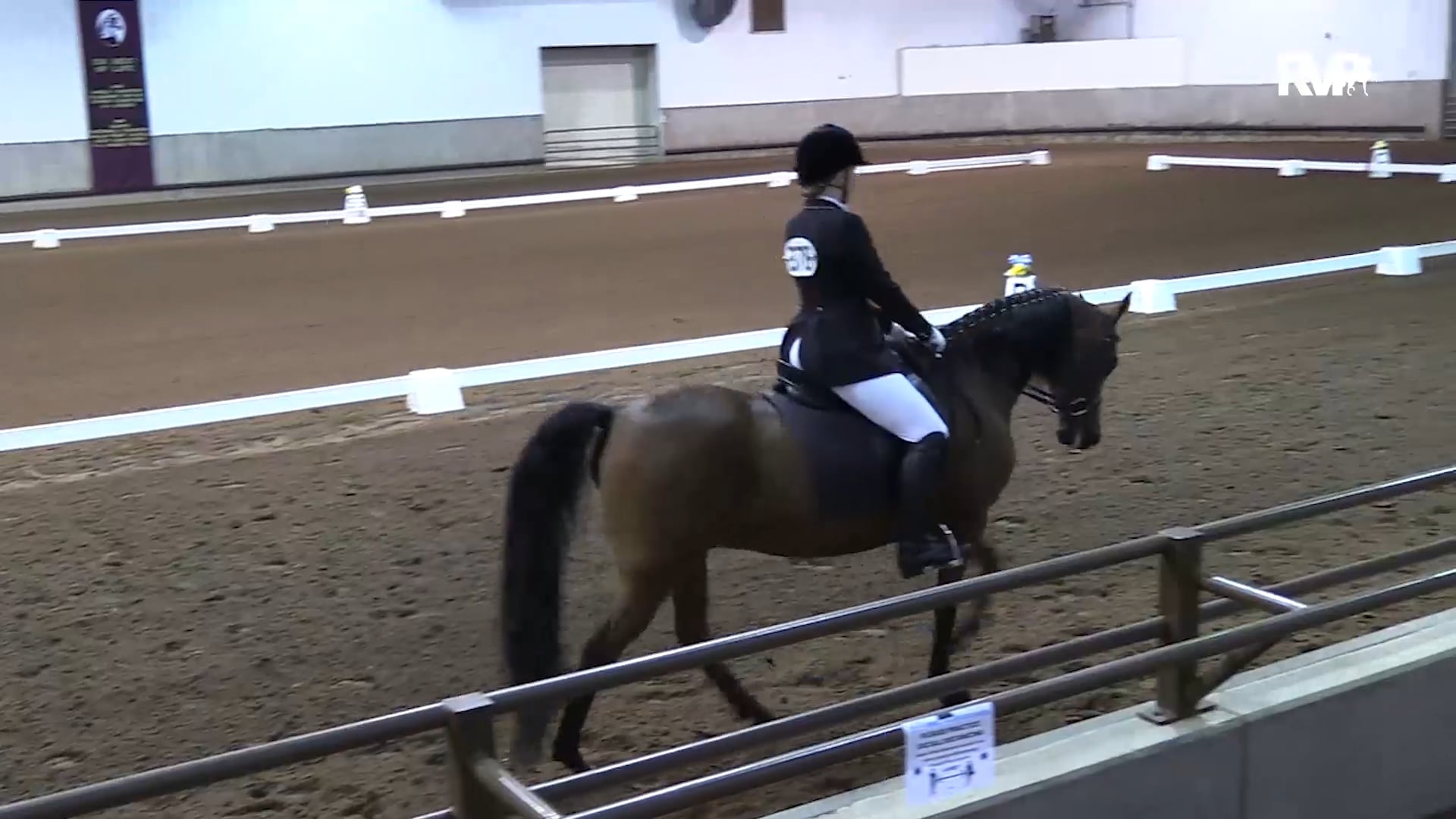 2020 MGN - Class 501 AMHA Dressage Seat Gold Medal