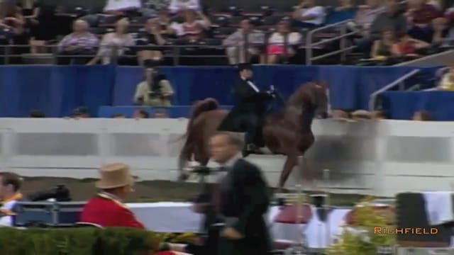 2002 WCHS Class 94 Amateur Three Gait...