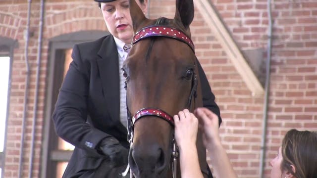 MJ16 - Morgan Jubilee Intro