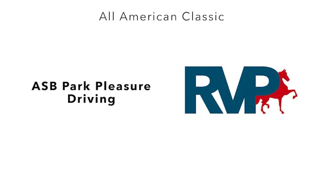 AAC24 - Class 4 - ASB Park Pleasure D...