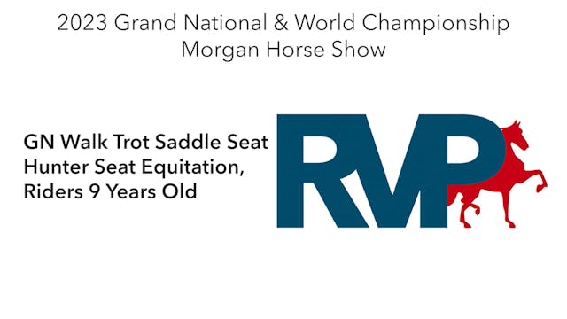 MGN23 - Class 368 - GN Walk Trot Sadd...