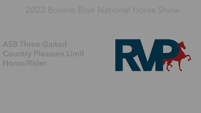 BB22 - Class 43 -  ASB Three Gaited C...