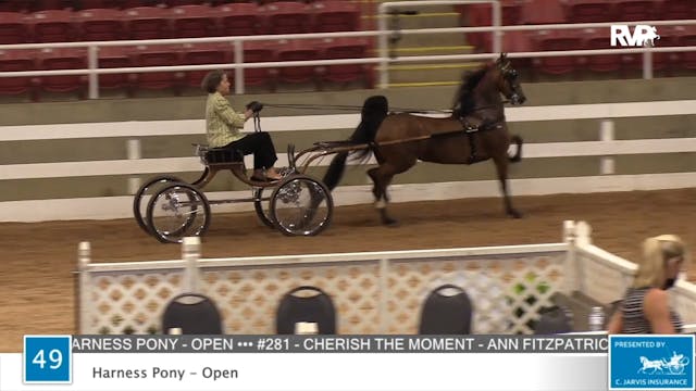 2020 ASF - Class 49 Harness Pony Open