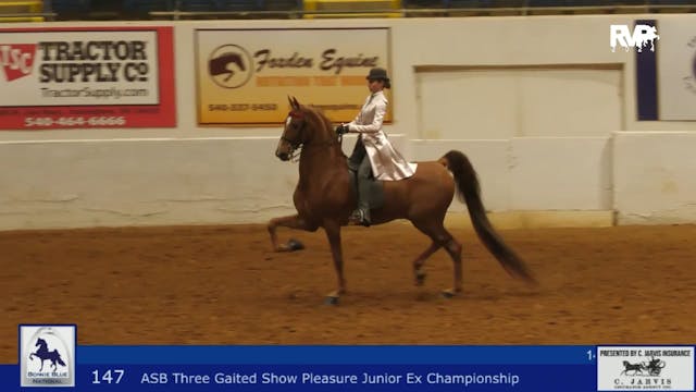 BB24 - Class 147 -  ASB Three Gaited ...