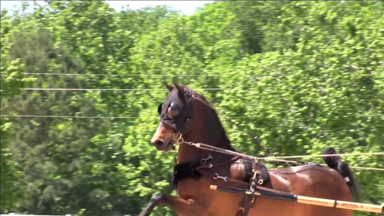 DC17- Friday Morning