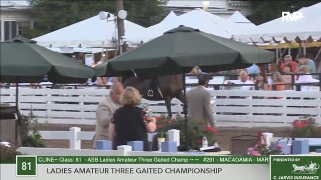 2016 RC - Class 81 Ladies Amateur Thr...