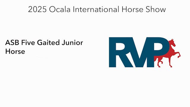 OI25 - Class 87 - ASB Five Gaited Jun...