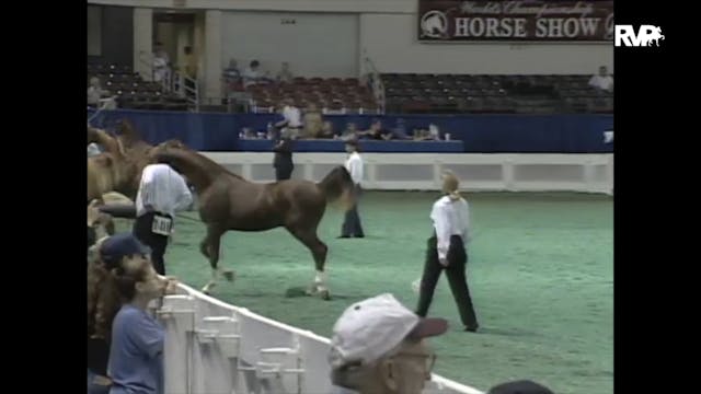 1997 WCHS - Class 37 ASHA Kentucky Fu...