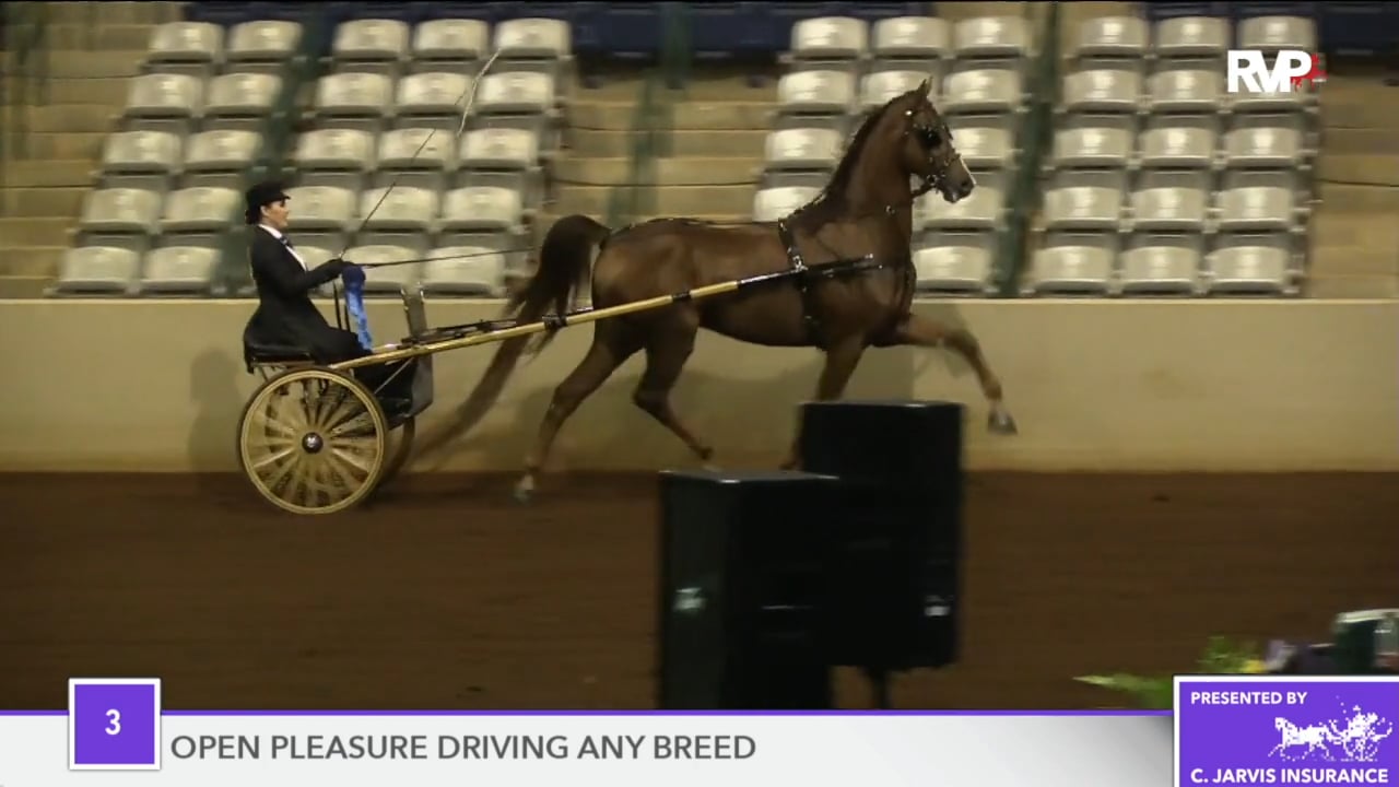 SSFF18 - Class 3 - Buzzer Beater