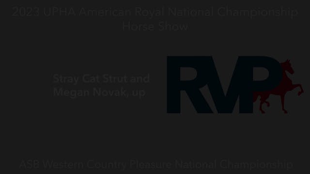 AR23 - Class 108 - Stray Cat Strut an...