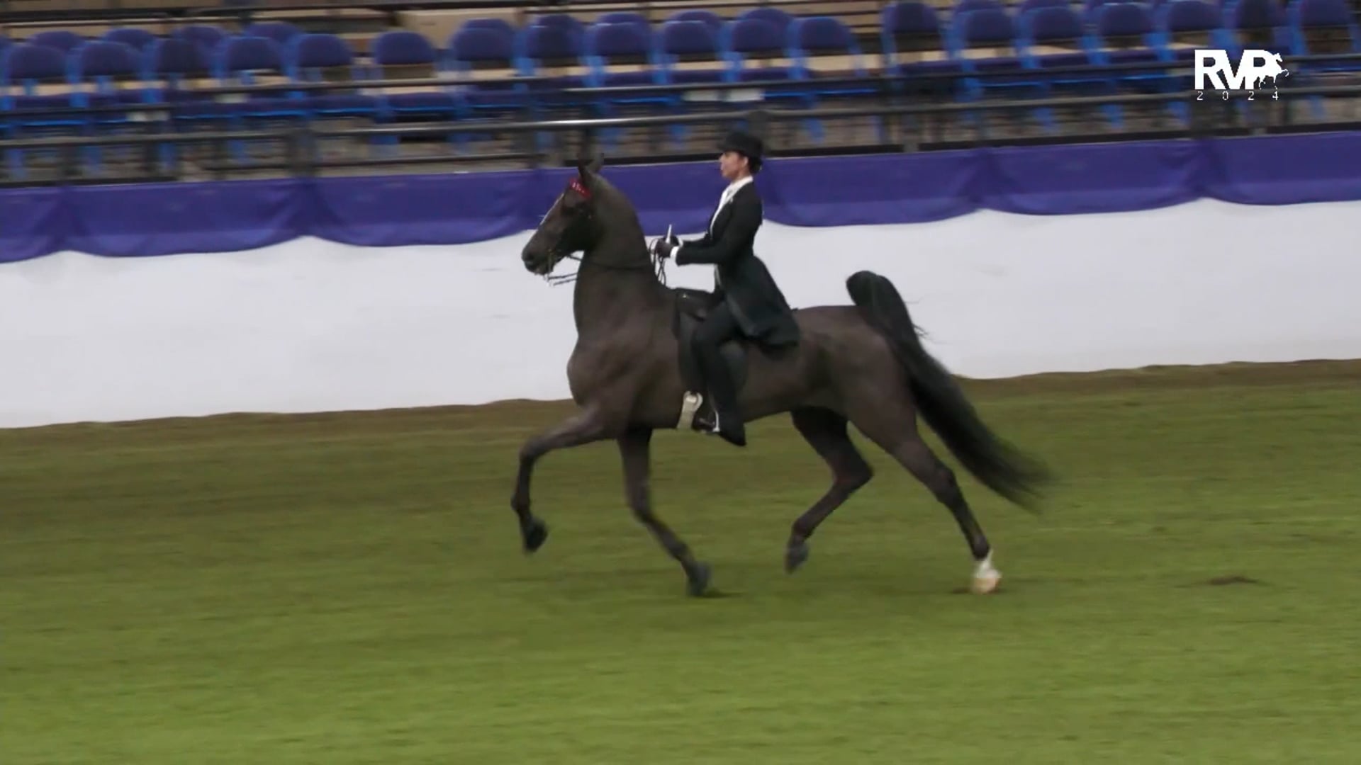 AR24 - Class 164.1 - USEF Saddle Seat Medal- Preliminary
