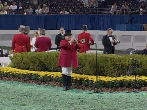 2008 WCHS Class 57 Ladies Fine Harness