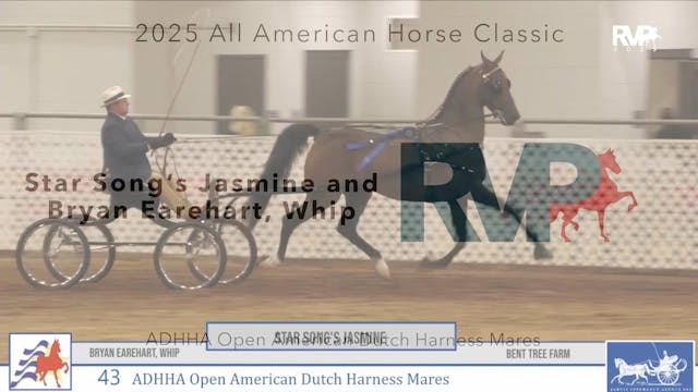 AAC25 - Class 43 - Star Song's Jasmin...