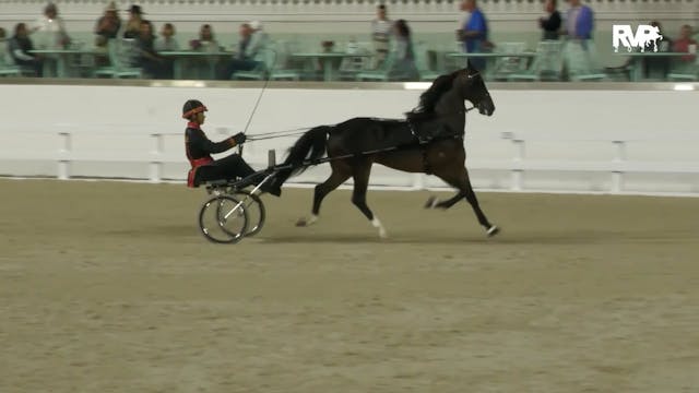 OI25 - Class 81.1 -  ARHPA Green Driv...