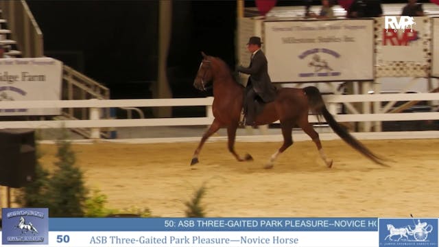 CTSC24 - Class 50 -  ASB Three Gaited...