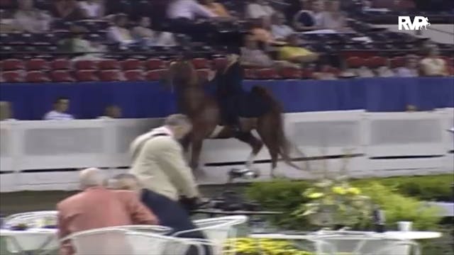 2006 WCHS Class 71 Equitation Open Ri...