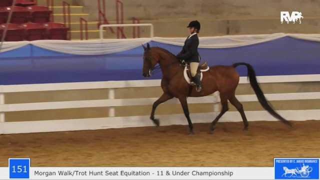 BR23 - Class 151 - Morgan Walk-Trot H...