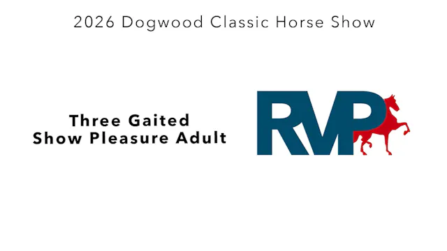 DC26 - Class 6 - Three Gaited Show Pl...