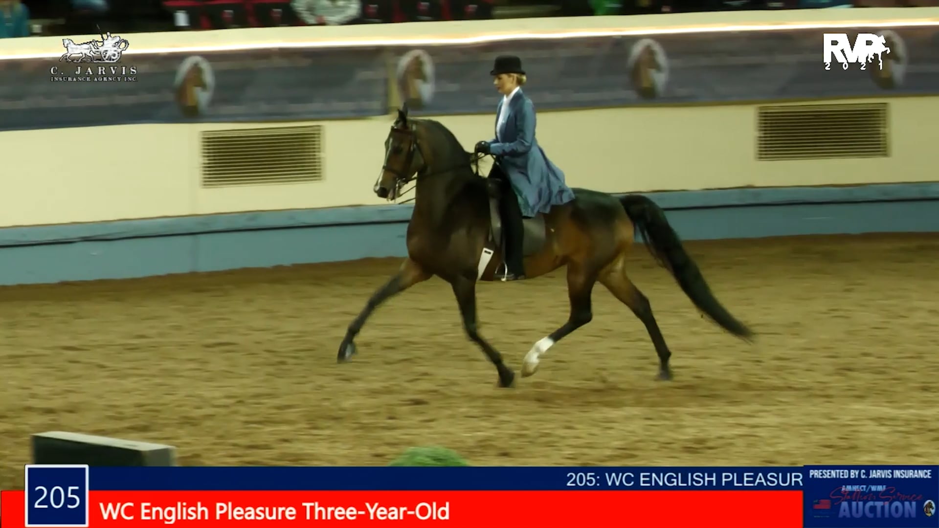 MGN21 - Class 205 -  WC English Pleasure Three-Year-Old