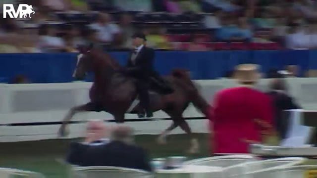 2004 World's Championship Horse Show ...